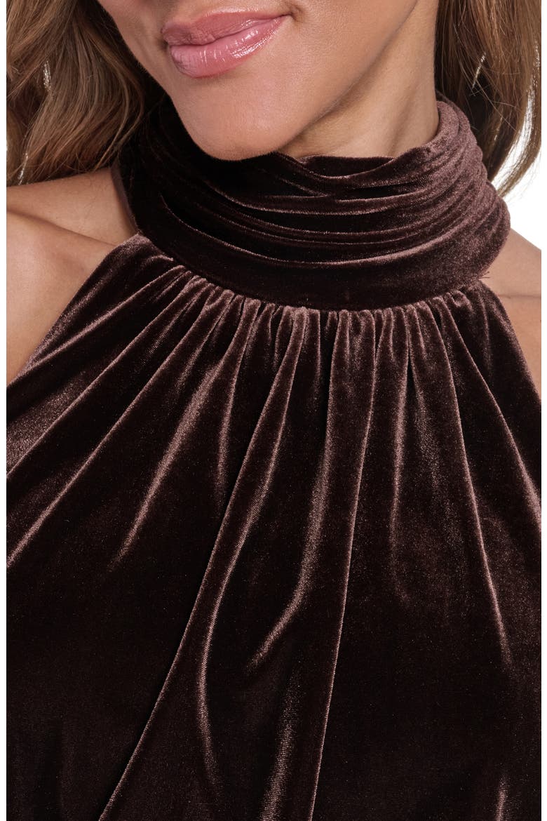 Sleeveless Velvet Gown, Alternate, color, CHOCOLATE
