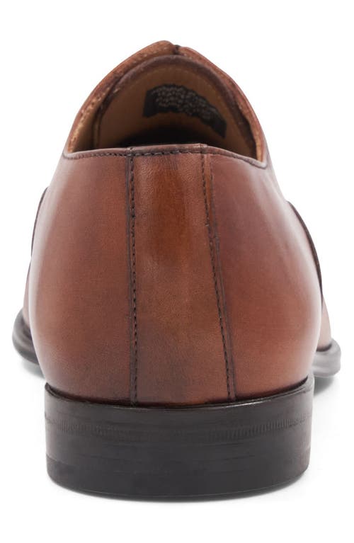 Bruno Magli Adriano Cap Toe Oxford In Cognac