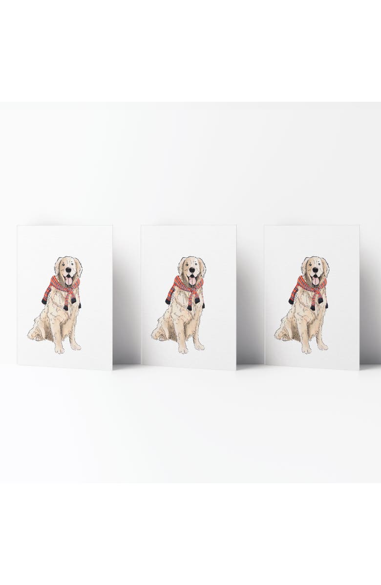 Ramus & Co Everyday Greeting Card Pack (3ct) "Preppy Retriever", Main, color, Multi-Pack