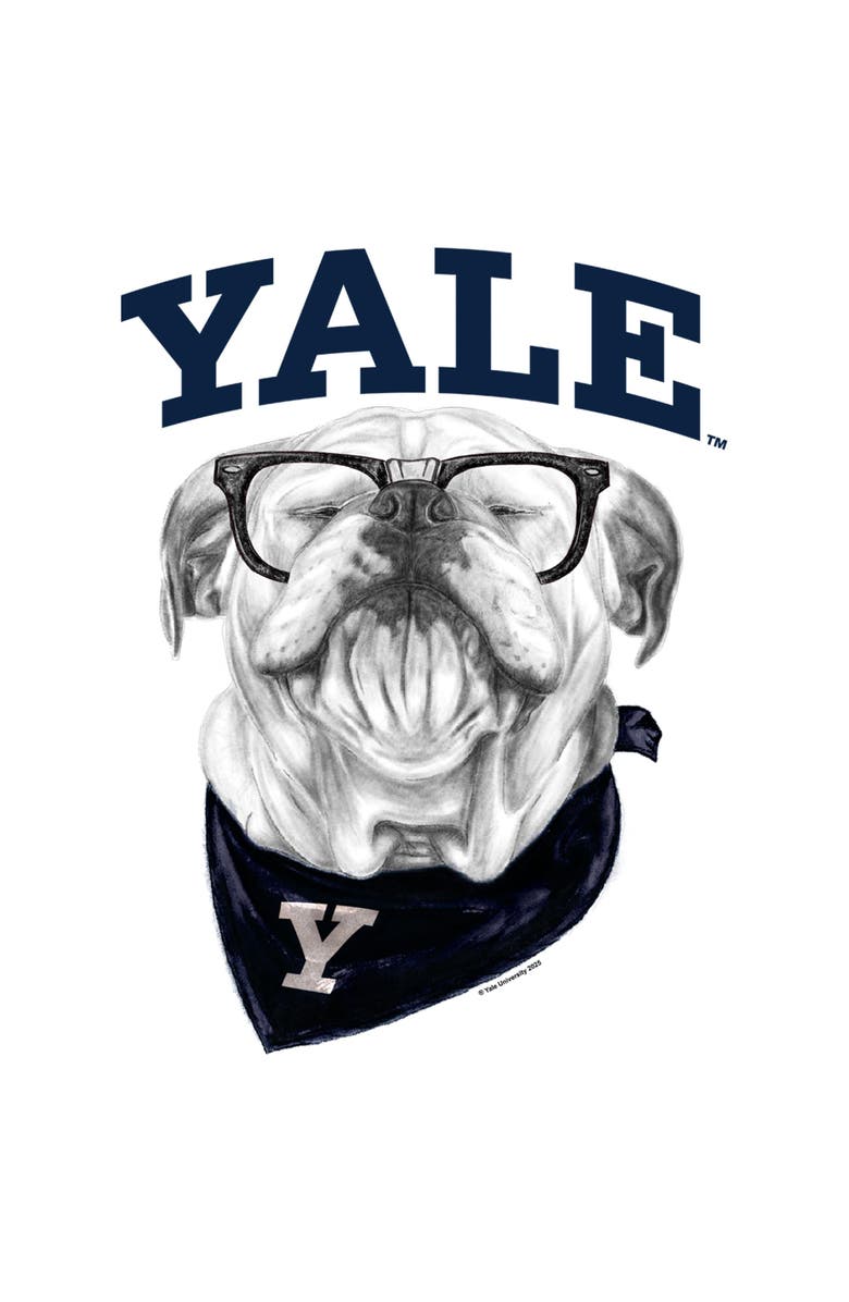 Yale University Men's Yale University Collegiate Handsome Dan Graphic T-Shirt, Alternate, color, White