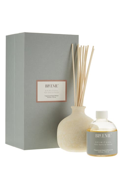 Blueme Spiritual Small Reed Diffuser In Gray