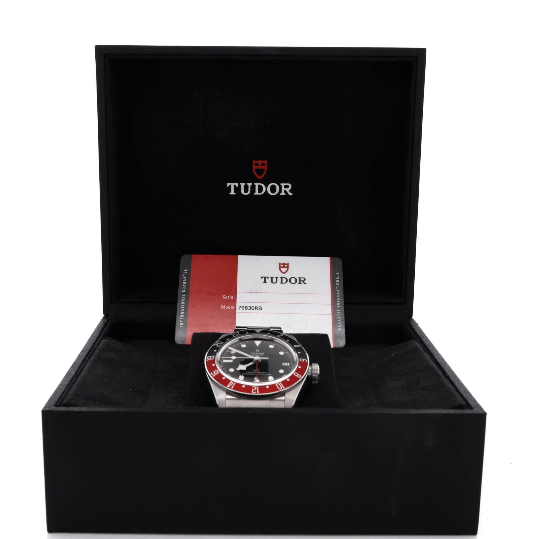 Heritage Black Bay GMT Automatic Watch Stainless Steel 41, Alternate, color, Metallic Silver
