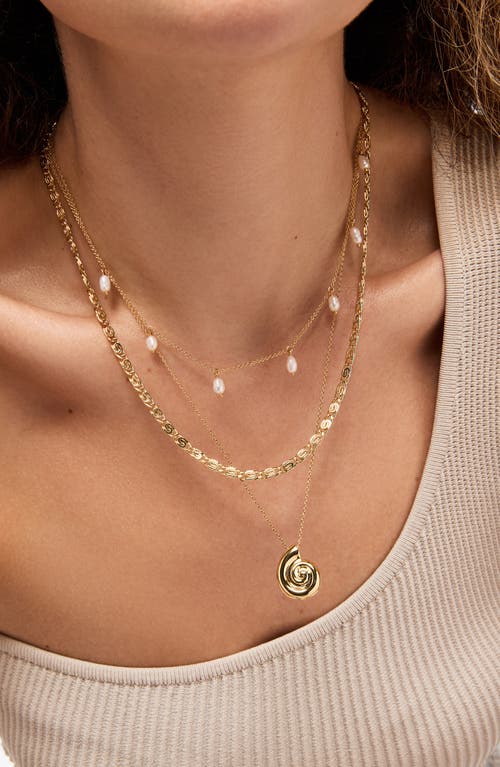 Ana Luisa Shell Necklace In Gold