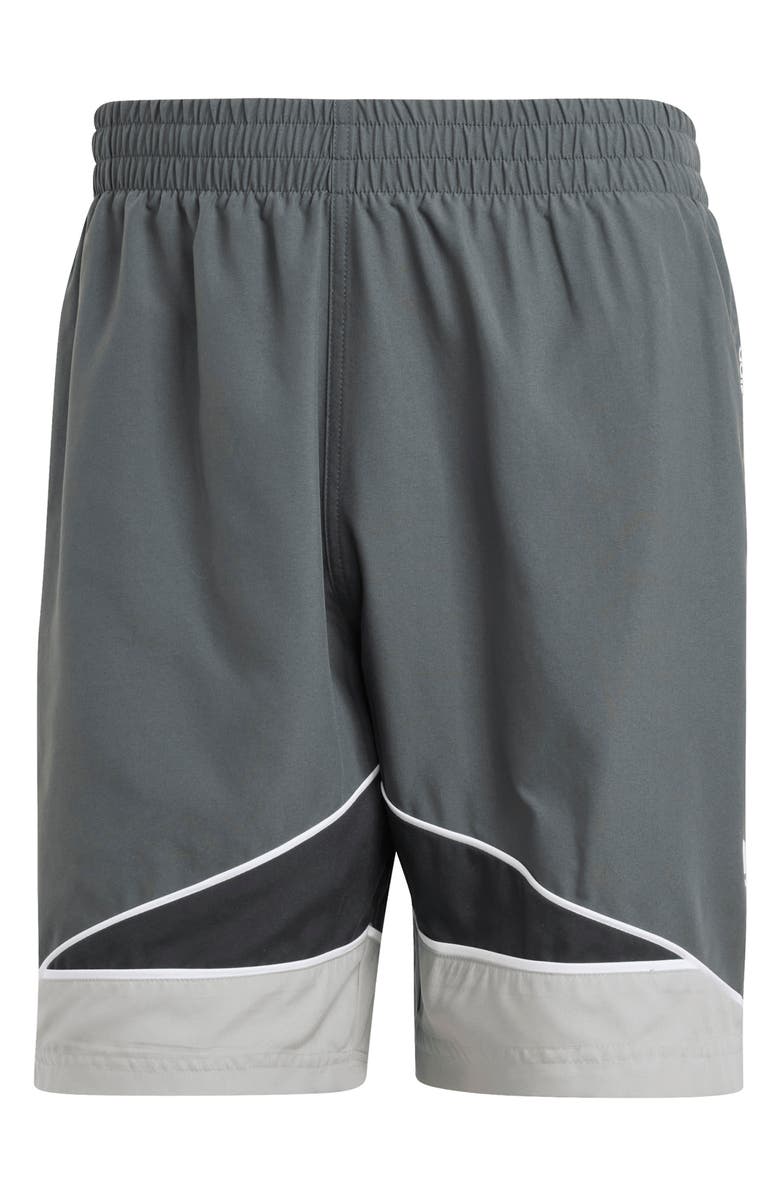 adidas CLRDO Swim Trunks, Alternate, color,