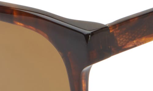 Eyebobs Nomad 50mm Square Reader Sunglasses In Brown