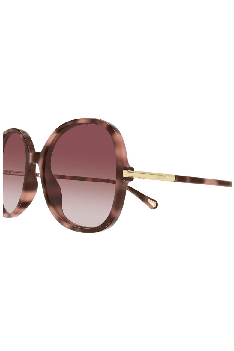 57mm Gradient Round Sunglasses, Alternate, color, SHINY DARK PINK HAVANA