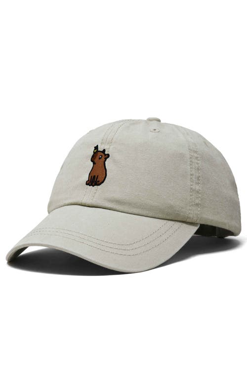 DALIX DALIX CAPYBARA EMBROIDERED EVERYDAY HAT 