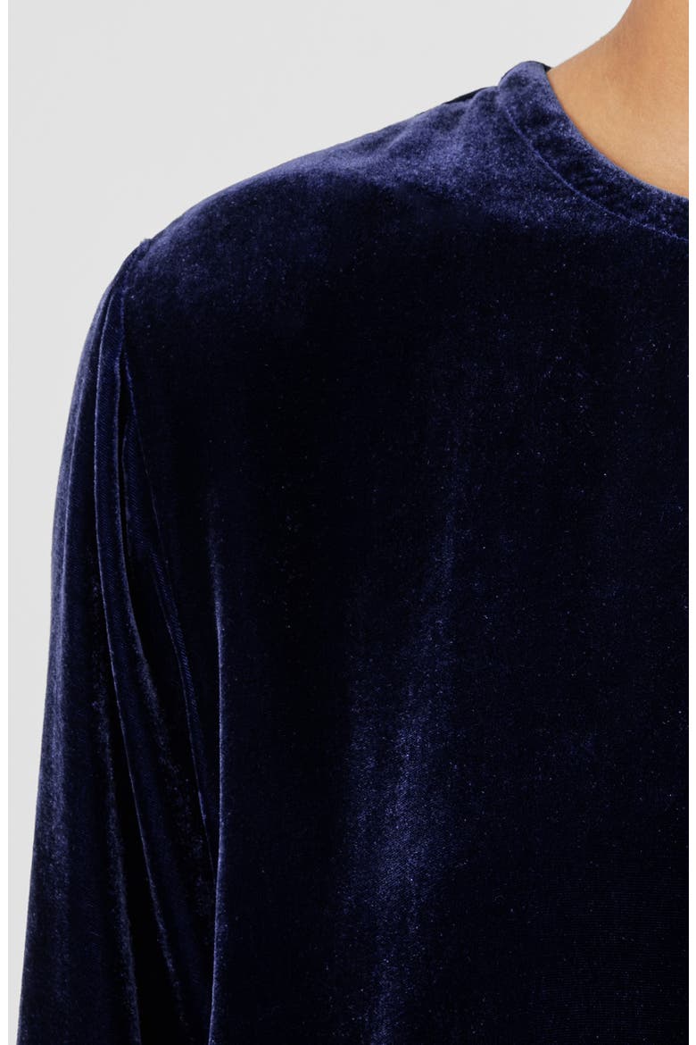 Long Sleeve Velvet Shift Dress, Alternate, color, VENUS
