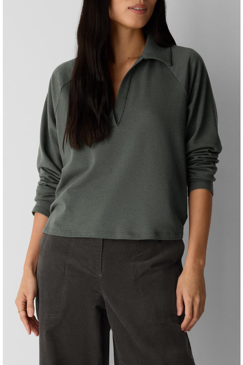 Raglan Sleeve Johnny Collar Knit Top, Main, color, SYLVAN