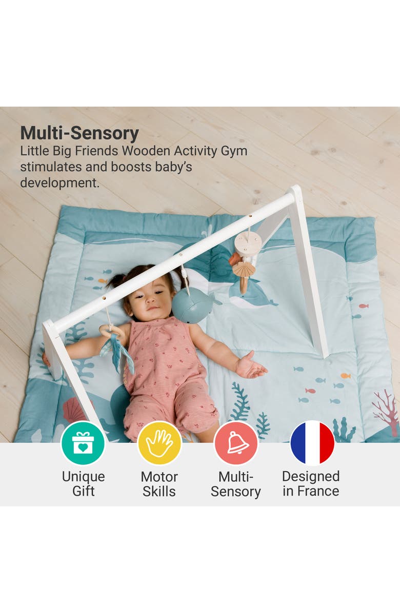 Little Big Friends Wooden Activity Arch - Ocean, Baby Gym & Sensory Toys, Alternate, color, Multi Color