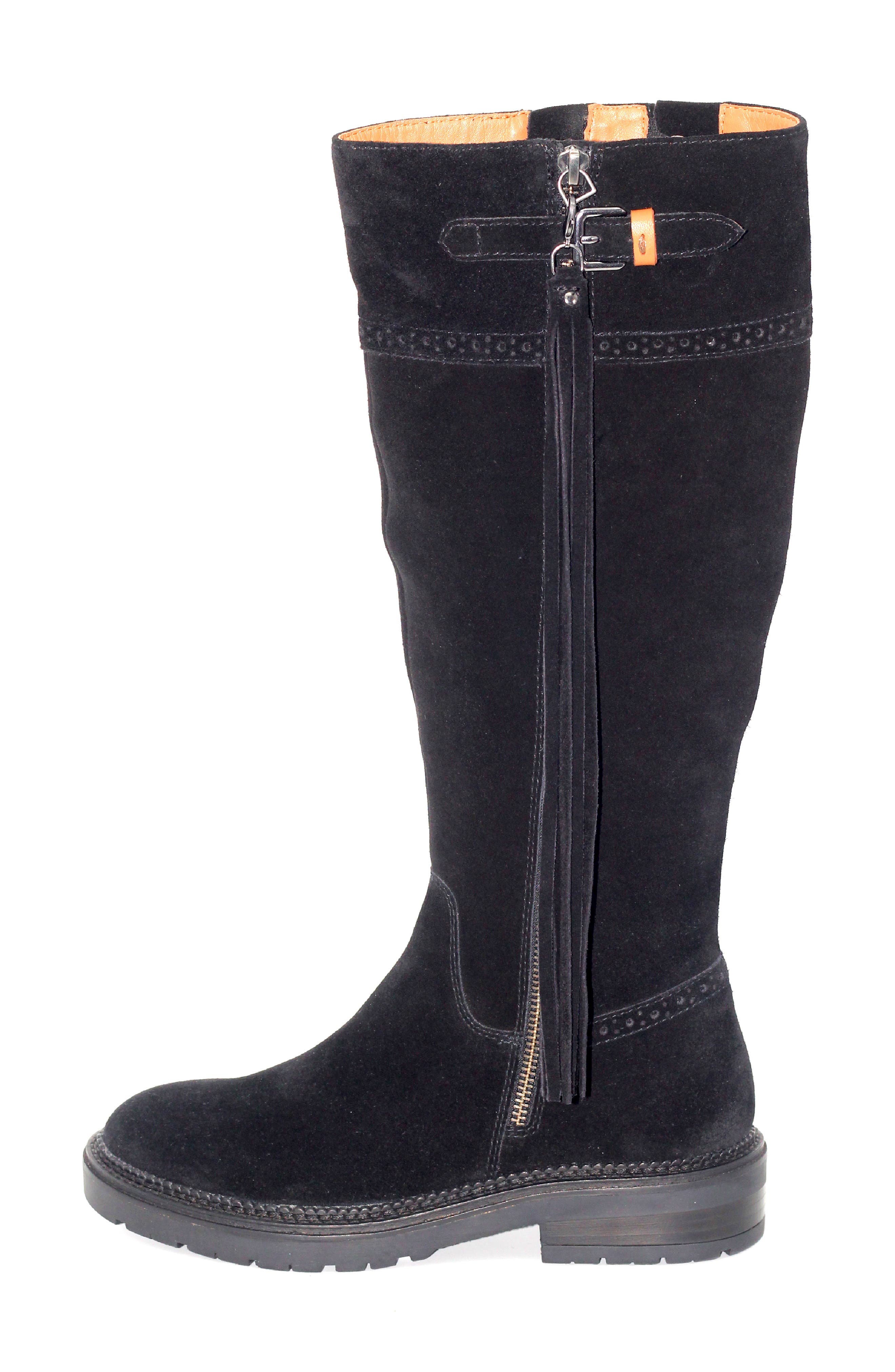 Gentle Souls Wheron Knee High Boot, Alternate, color, Black Suede