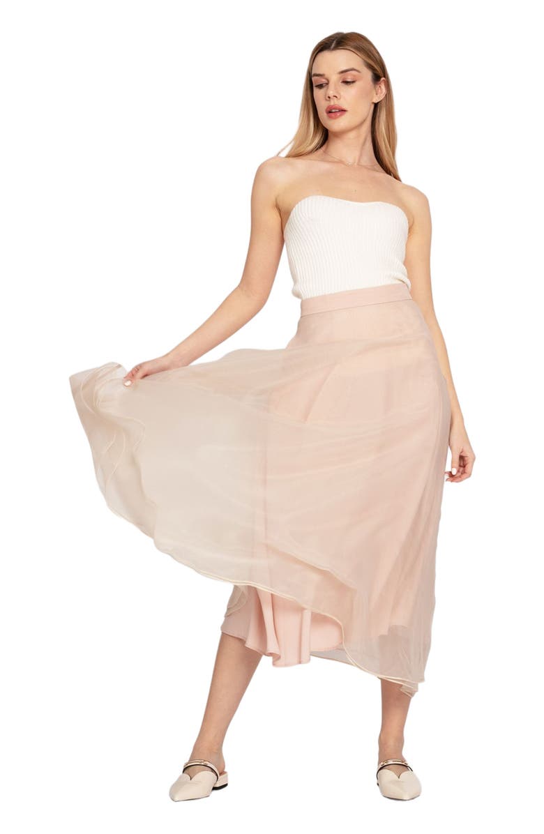 Belle & Bloom Make My Dreams Ballet Skirt, Alternate, color, Dusty Rose