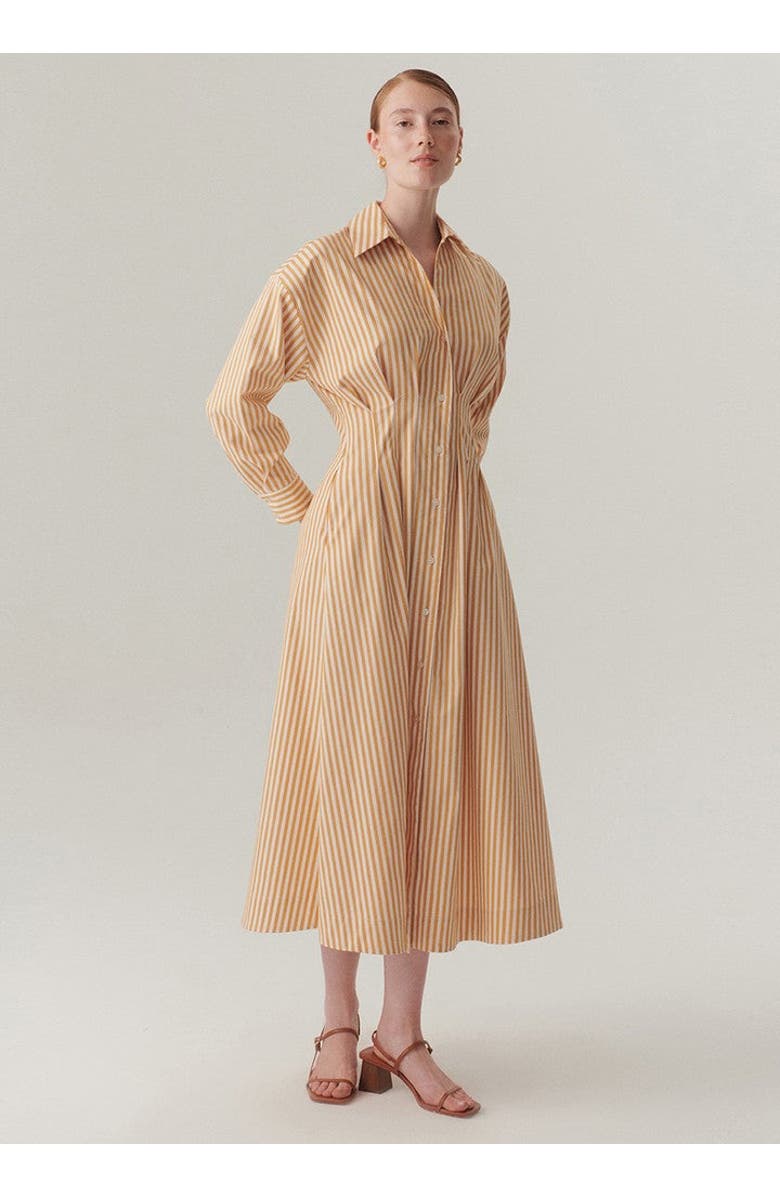 Exquise Waist Shirt Collar Midi Dress, Alternate, color, Camel Beige