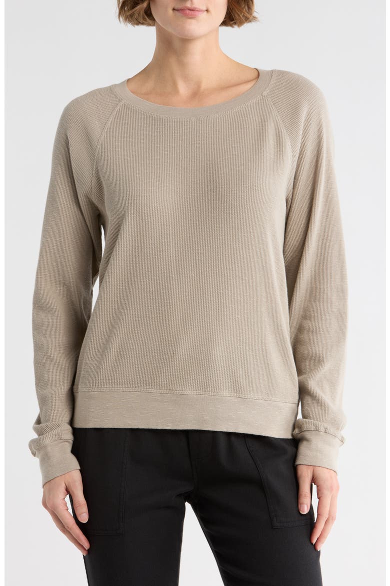 Relaxed Raglan Sleeve Cotton Pullover (Women) | Nordstromrack
