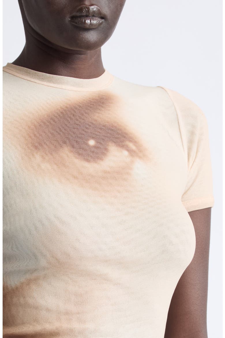 Face Print Crop Mesh Baby Tee, Alternate, color, BEIGE