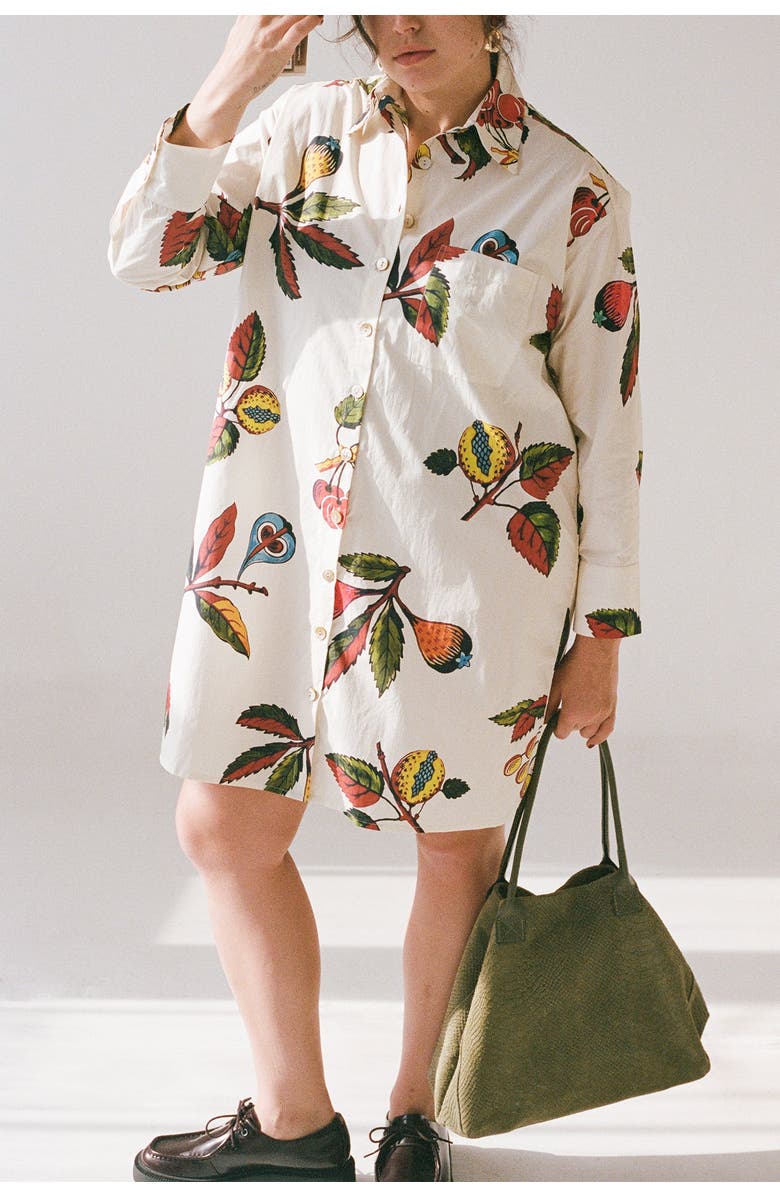 WRAY Etore Shirt Dress, Alternate, color, 