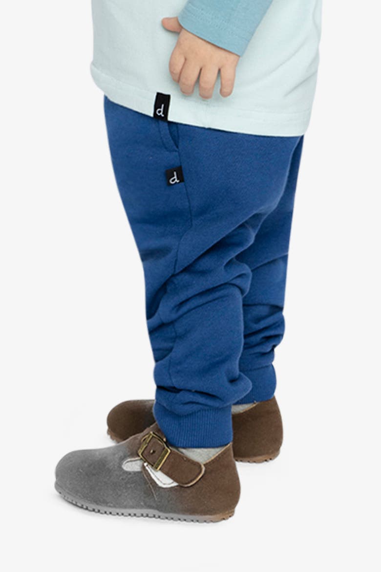 Fleece Drawstring Waist Ribbed Cuff Sweatpants, Alternate, color, Blue