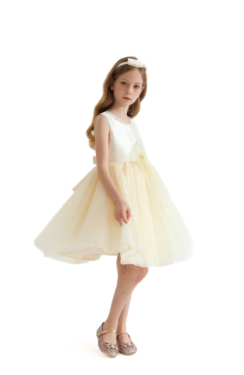 Tulleen Felice Dress, Alternate, color, Champagne