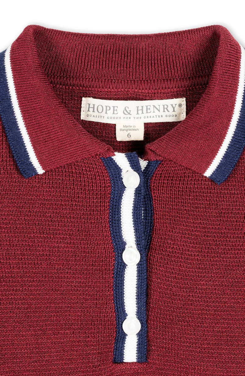 Hope & Henry Baby Girls' Organic Henley Sweater Dress, Infant, Alternate, color, Oxblood With Tipping