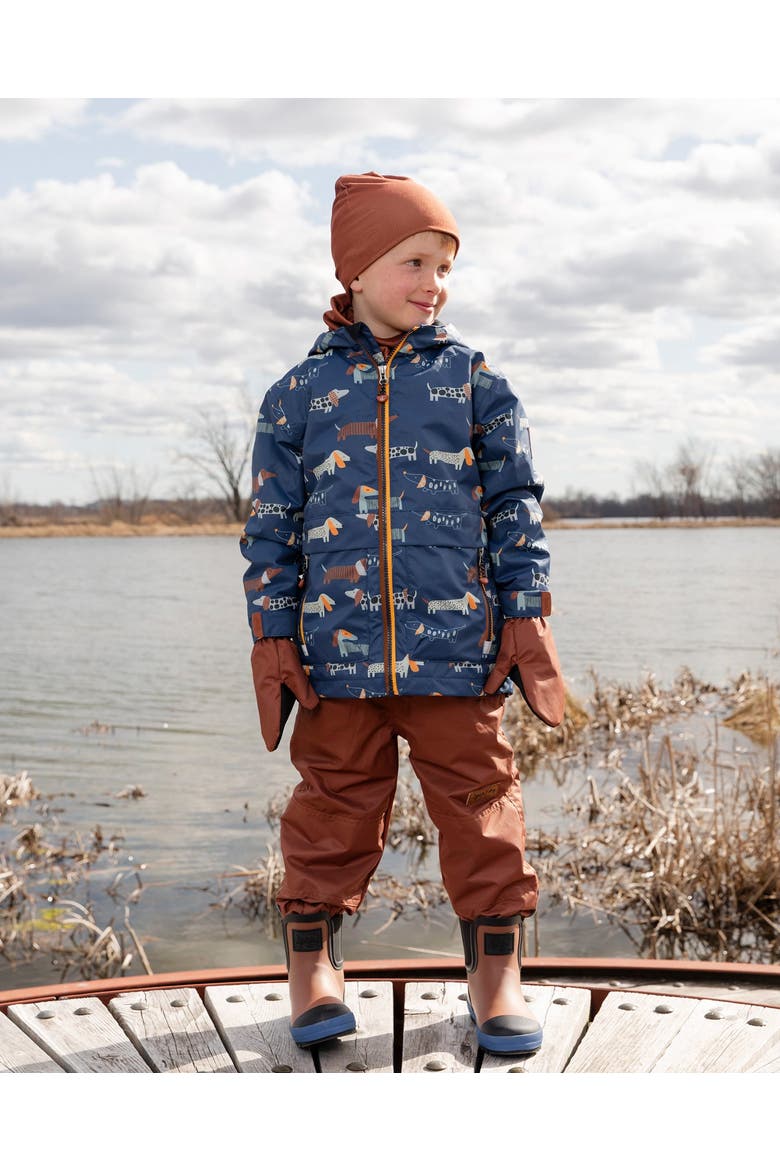 3-in-1 Two-Piece Mid-Season Dog Outerwear Set, Alternate, color, Blue Printed Dogs