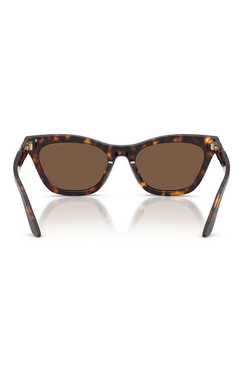 55mm Cat Eye Sunglasses, Alternate, color, SHINY HAVANA / BROWN