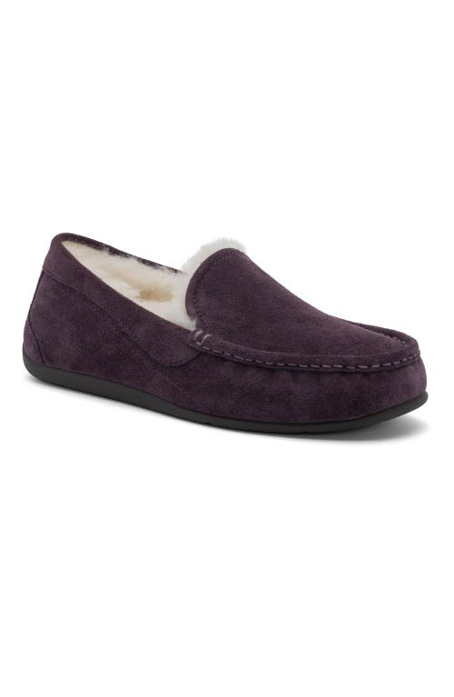 Abeo Amble Slipper In Dark Purple - Regular