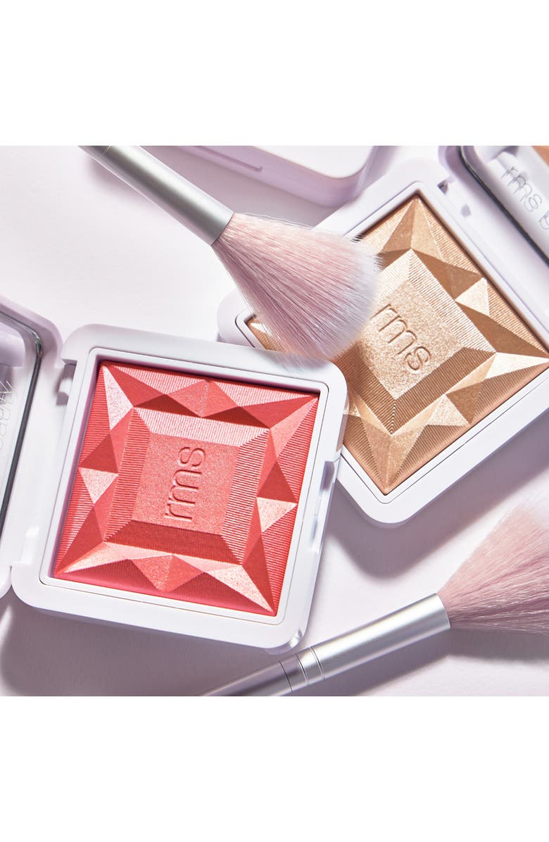 RMS Beauty Skin2Skin Fan Brush, Alternate, color, 