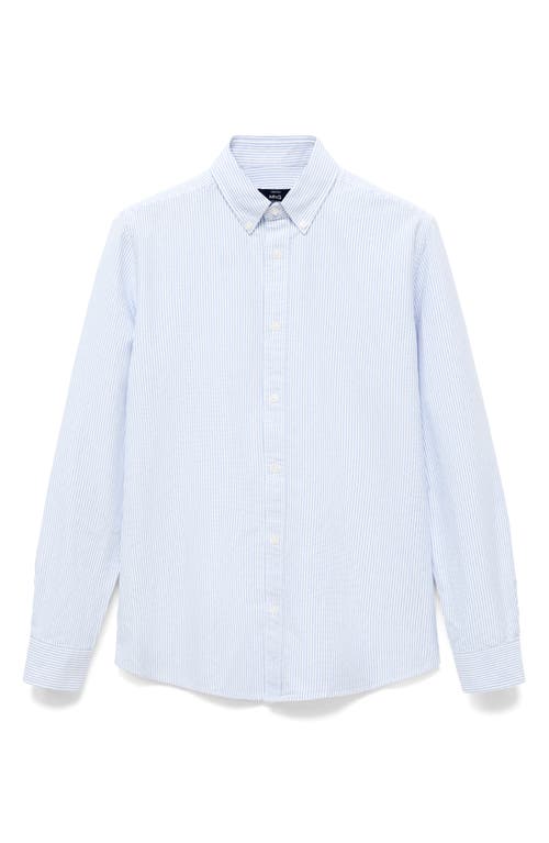 Mango Stripe Cotton Button-up Oxford Shirt In Blue