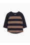  Rugby Stripe / Navy + Taupe