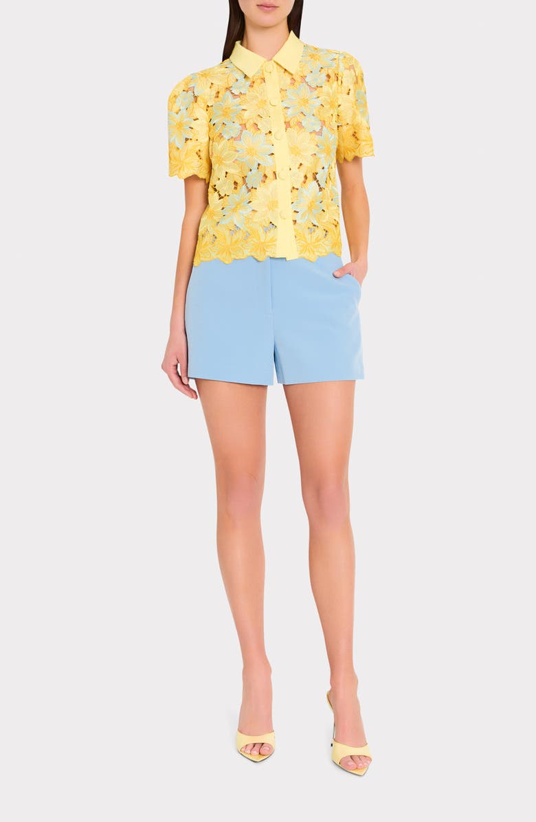 Milly Addison Floral Lace Button-Up Shirt, Alternate, color, 