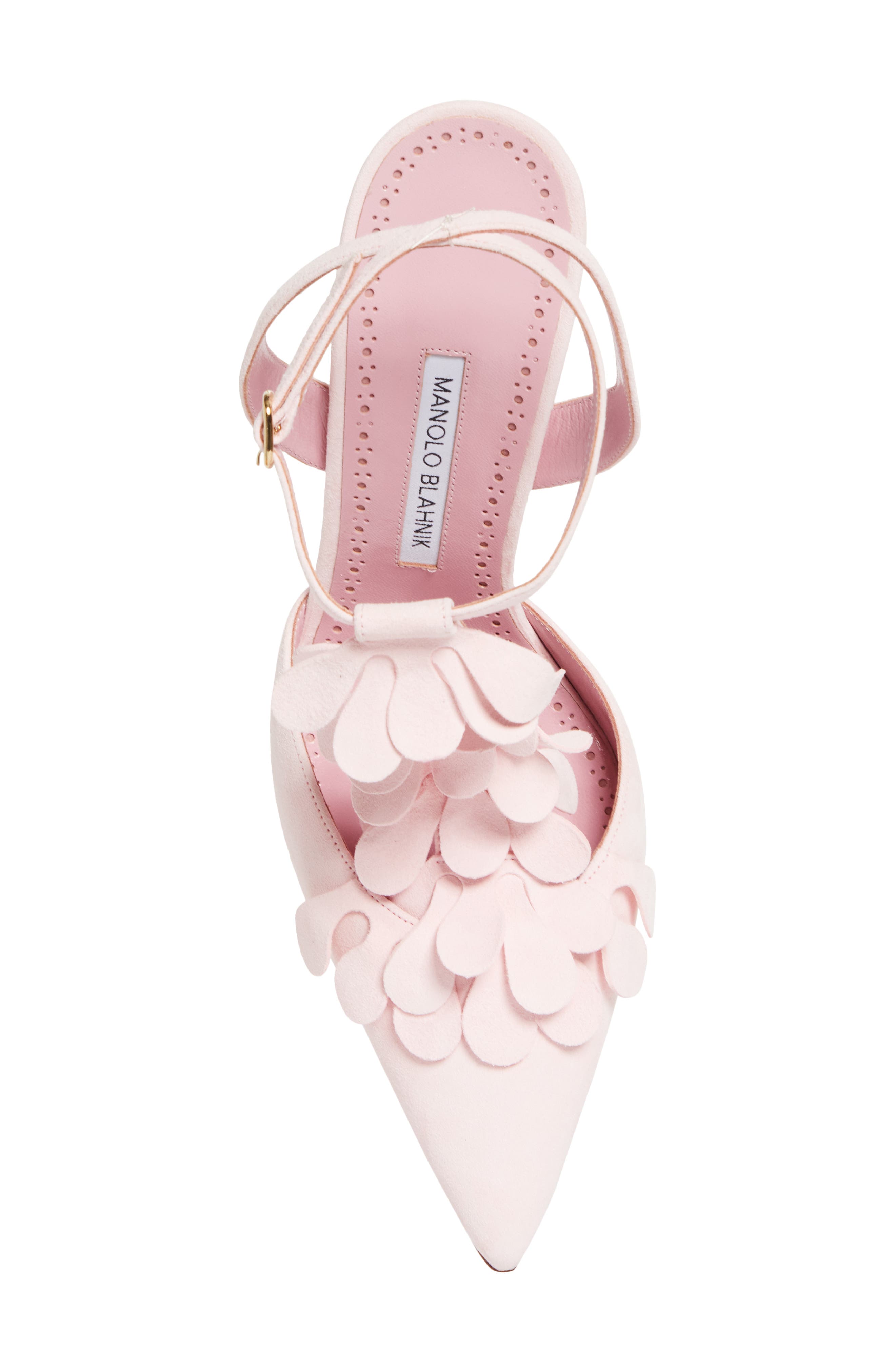 Manolo Blahnik Marwam T-Strap Pump, Alternate, color, 