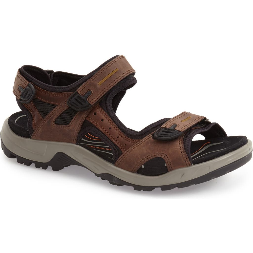 ECCO Yucatan Sandal in Espresso Leather at Nordstrom Rack, Size 15-15.5Us / 49Eu