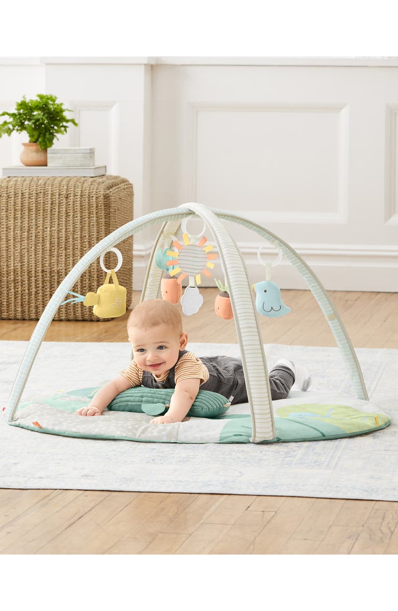 Skip Hop Garden Oasis Activity Gym, Alternate, color, Multi