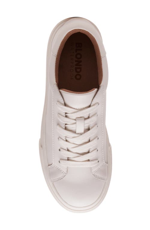Blondo Venna Waterproof Sneaker