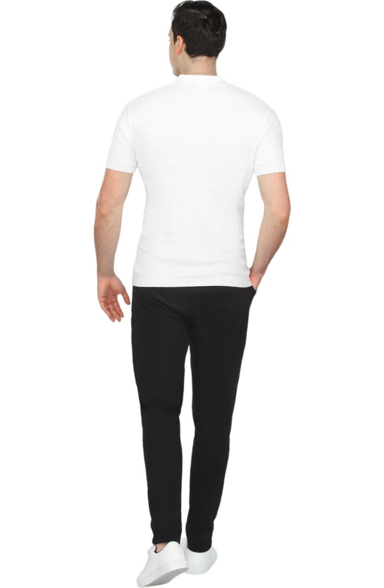 Vustra Knit Short Sleeve Polo, Alternate, color, 