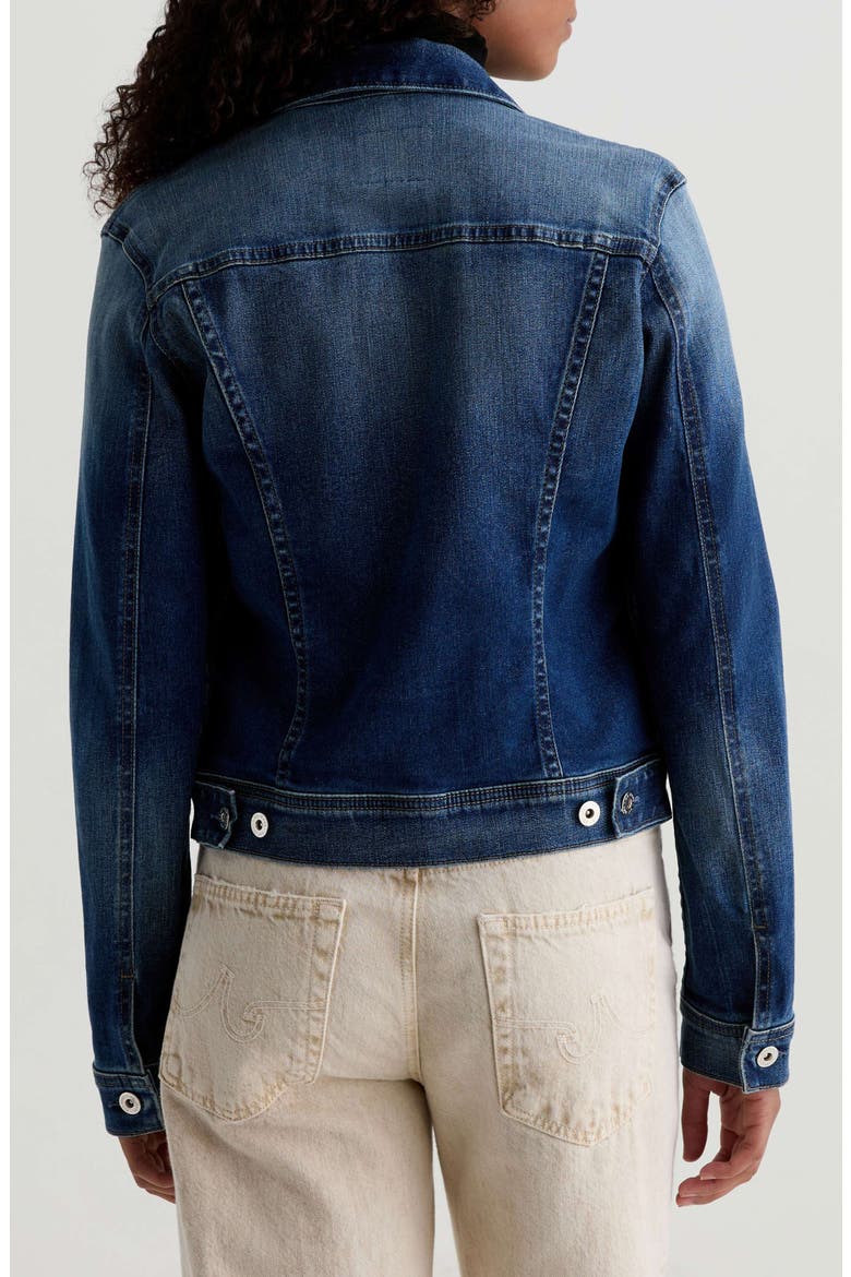 Robyn Crop Stretch Denim Jacket, Alternate, color, 9 YEARS ENCHANTMENT