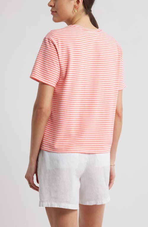 Caslonr Caslon(r) Stripe Crop T-shirt In Coral- White Beck Stripe
