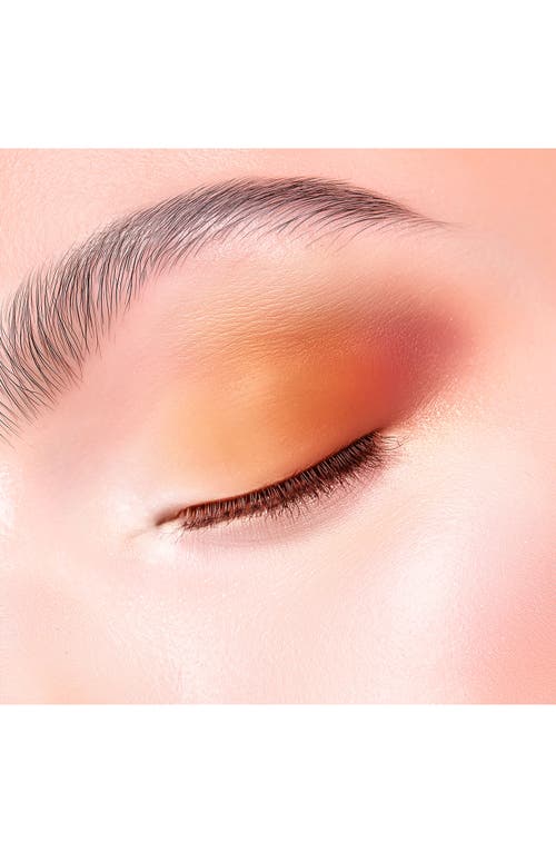 Dior Show Fiery Circus Eyeshadow Palette