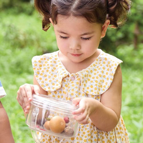 Kaplan Early Learning Company Carry And Discover Magnification Containers In Transparent