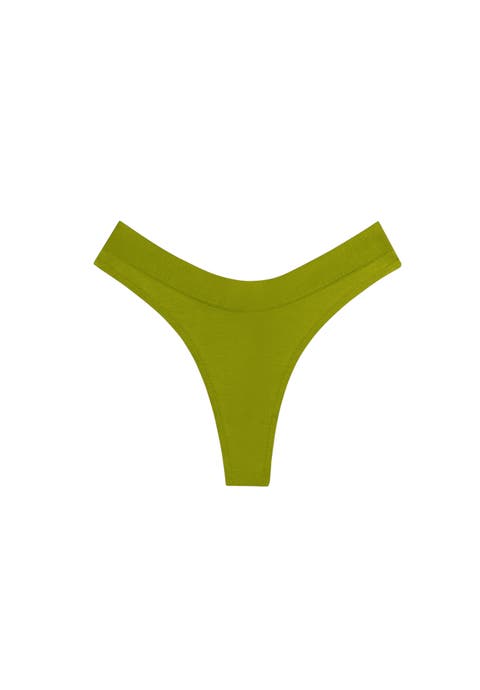 The Thong (Modal)