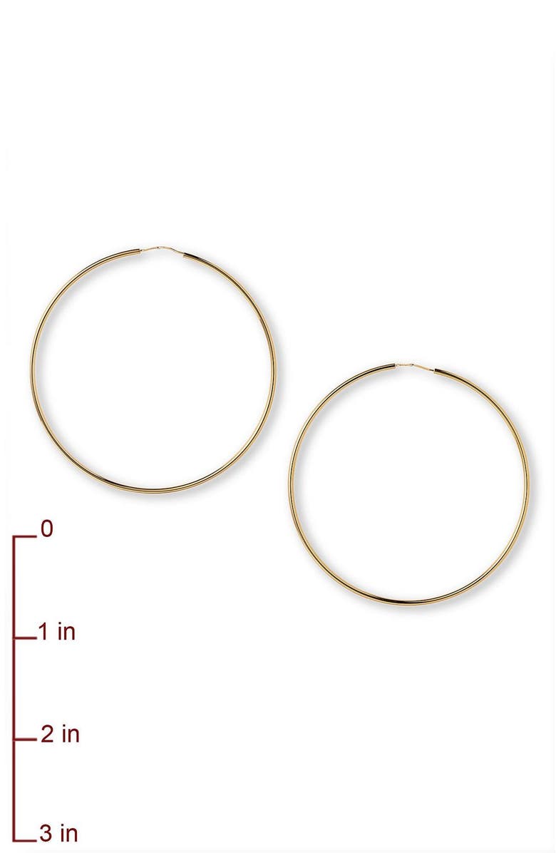 Charles Garnier Hoop Earrings, Alternate, color,