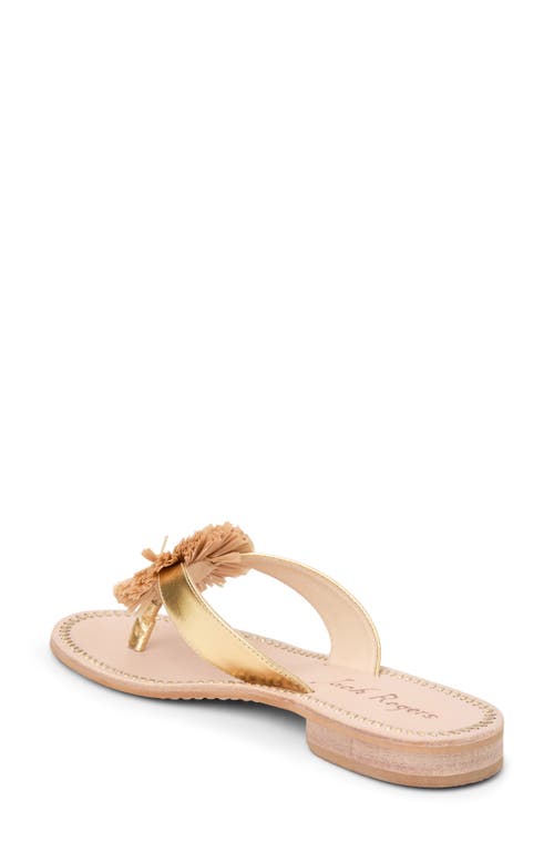 Shop Jack Rogers Cay Flip Flop In Gold/natural
