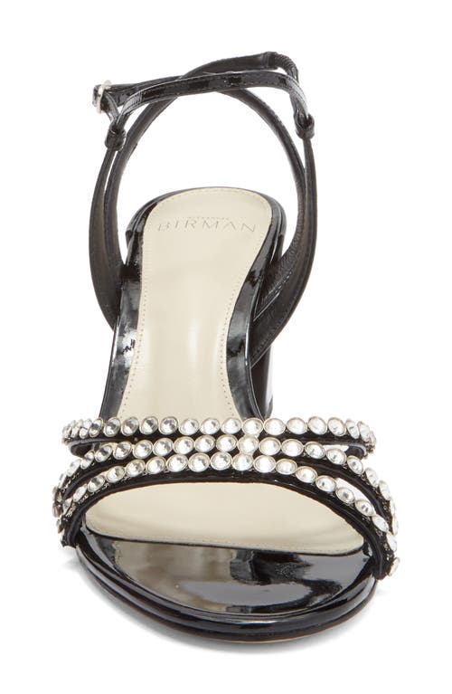 Alexandre Birman Caged Ankle Strap Sandal In Black
