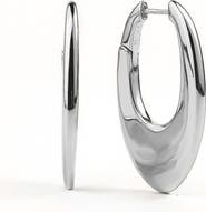 Zynnia Collective Lume Hoops