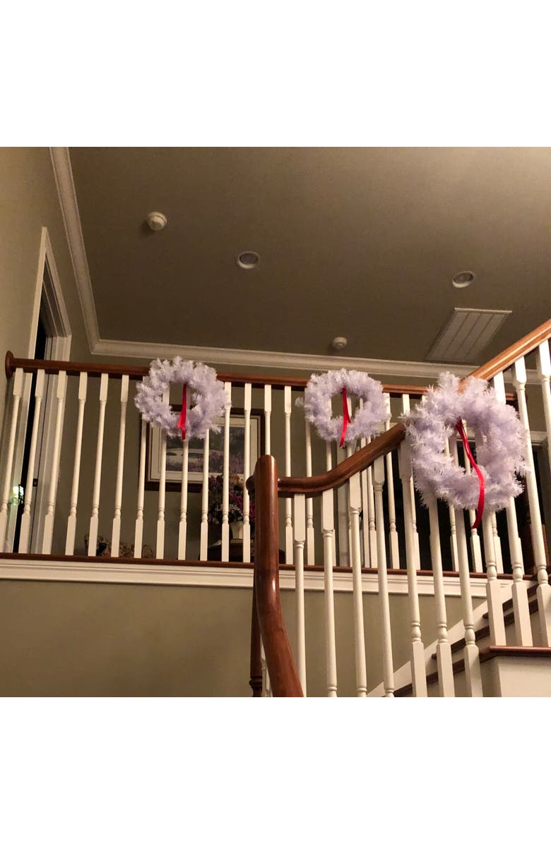 Northlight White Crystal Spruce Artificial Christmas Wreath - 20" - Unlit, Alternate, color, White