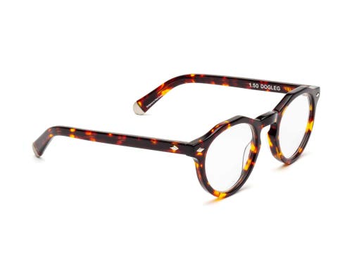 Shop Caddis Dogleg | Reading Glasses
