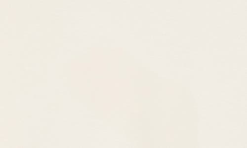Apana Dolman Sleeve Scuba Knit Top In White