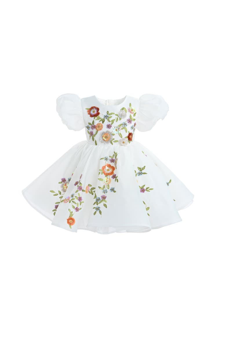 Embroidered Puff Sleeve Dress, Main, color, White