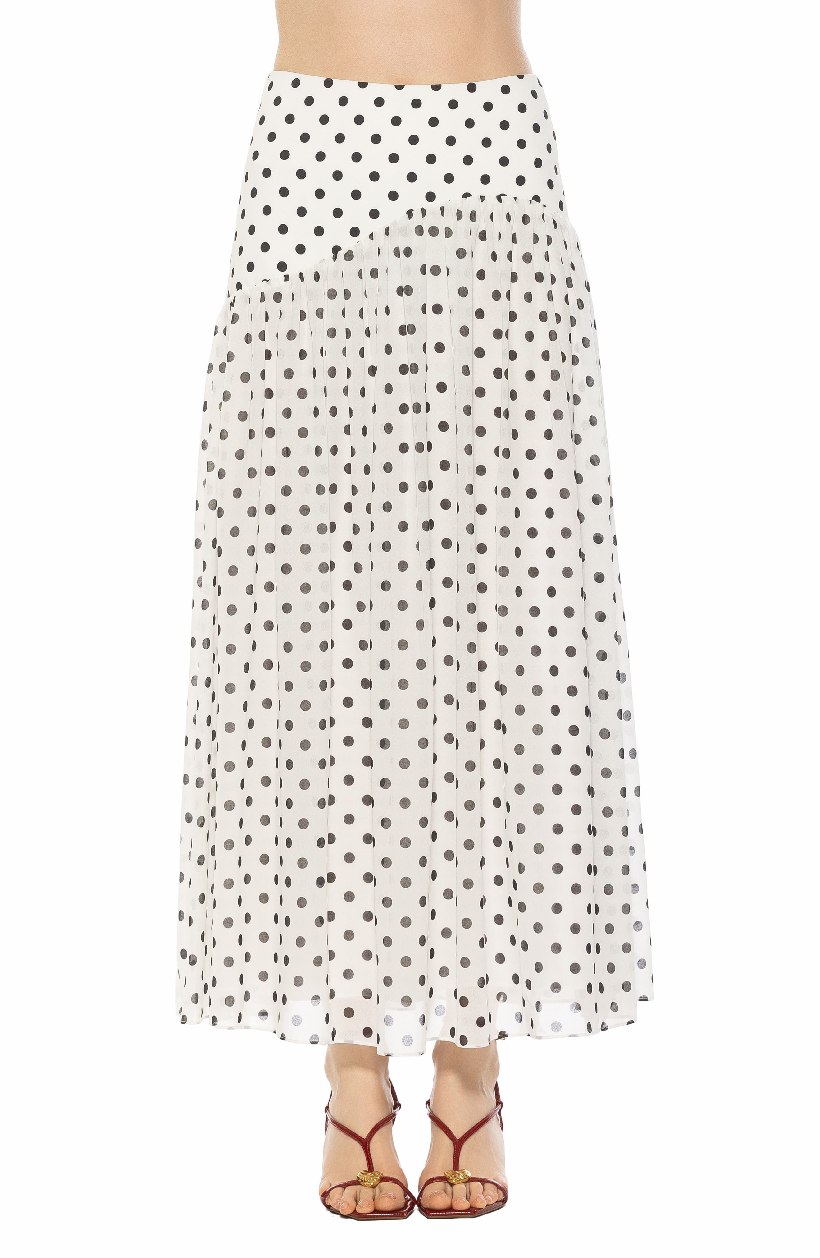 IVORY POLKA
