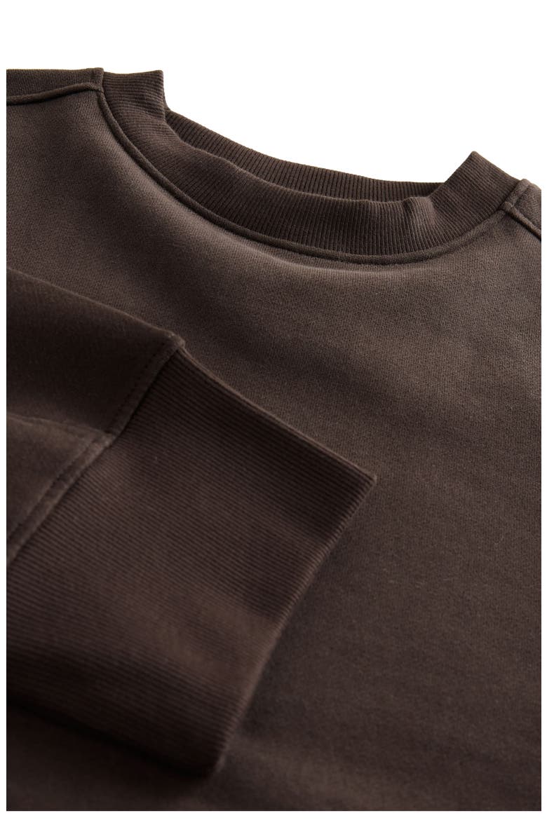 Crewneck Sweatshirt, Alternate, color, BROWN